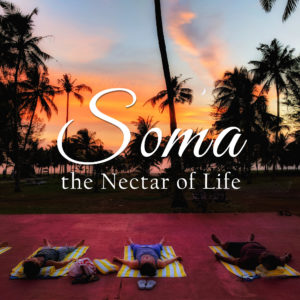 Soma :: The Nectar of Life